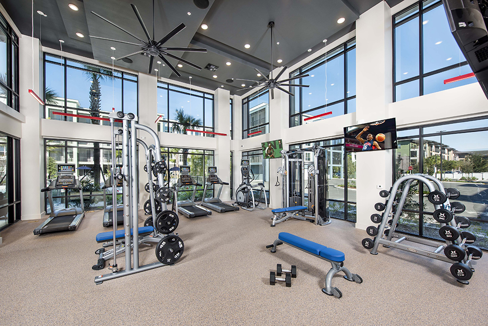 Kestra gym